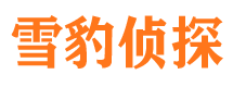 宁阳市私家侦探